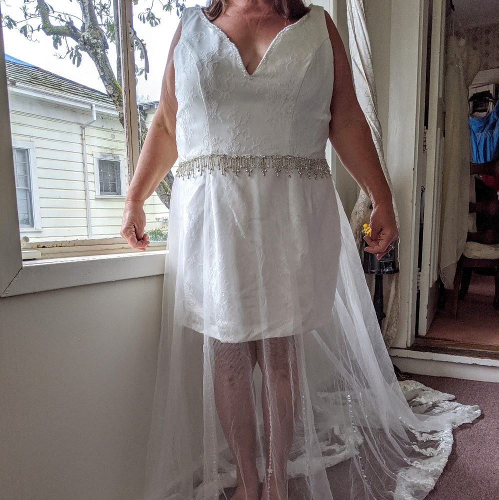 Plus Size Bridal Sheer Lace Gown